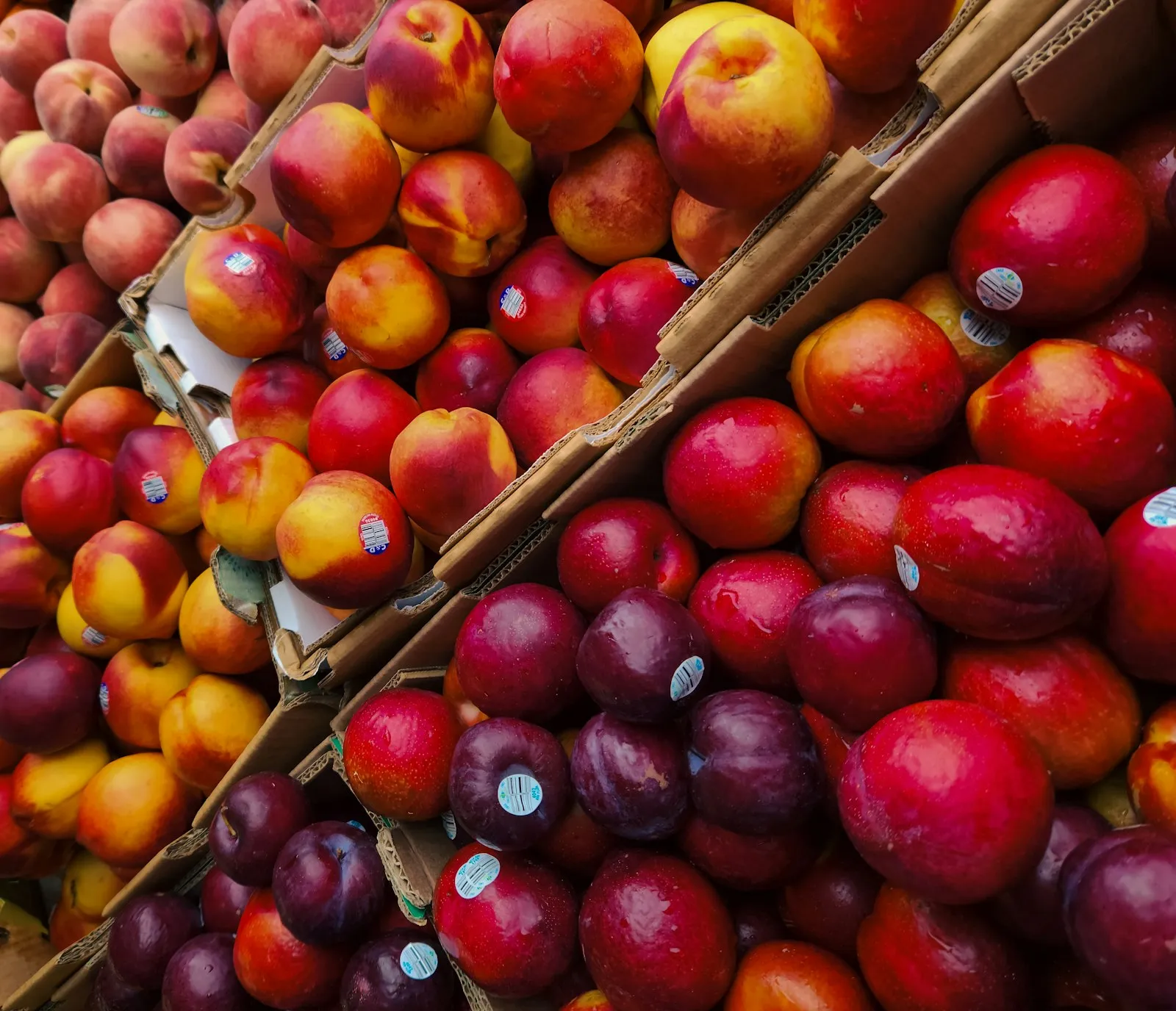 Red and yellow nectarines and dark plums packed in cardboard wholesale trays